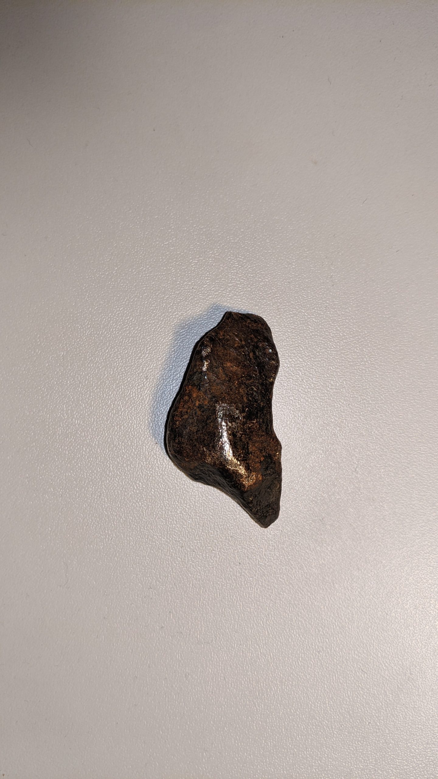 Mini Gibeon Meteorite