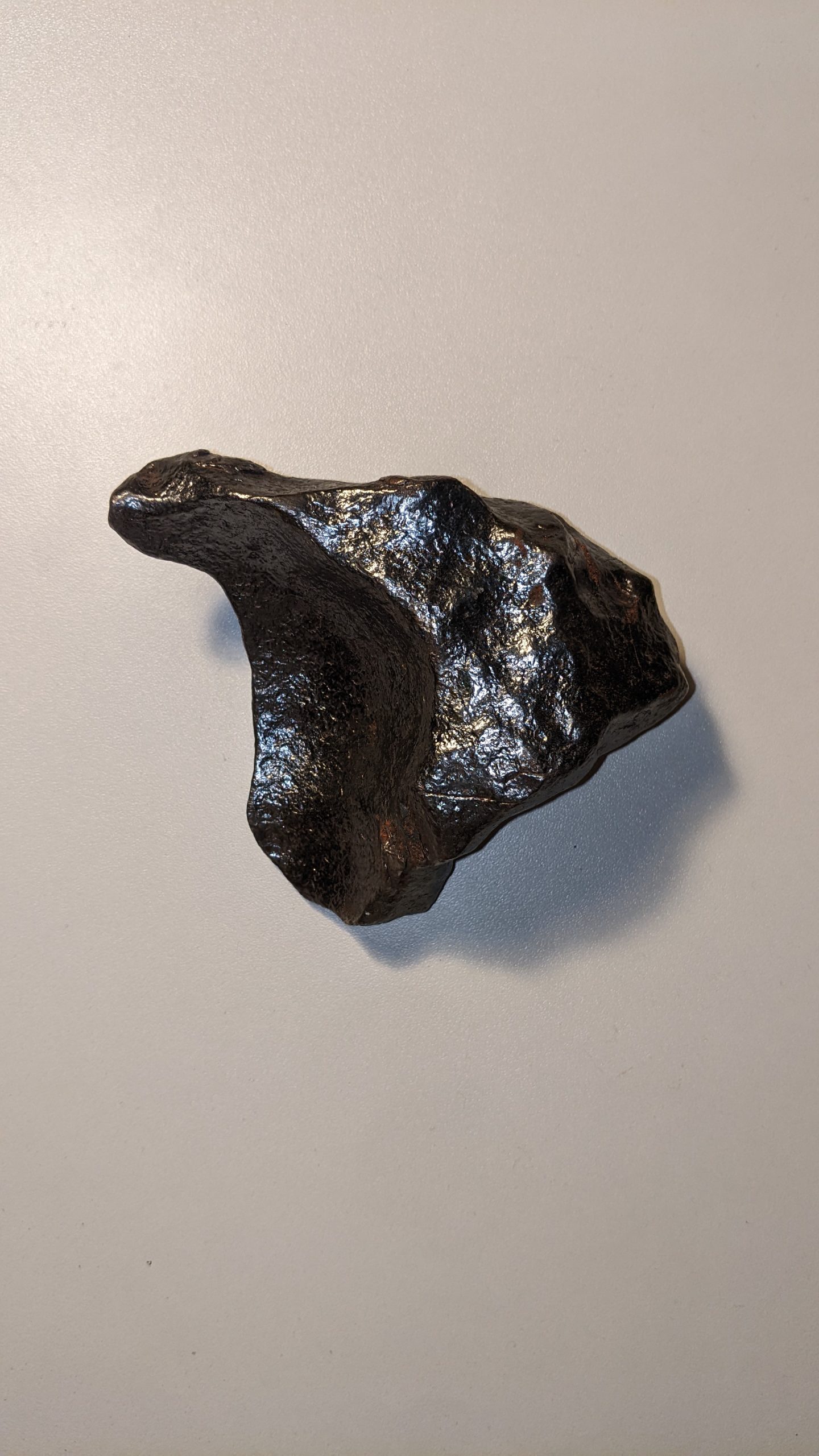 Small Gibeon Meteorite 2- ギベオン隕石