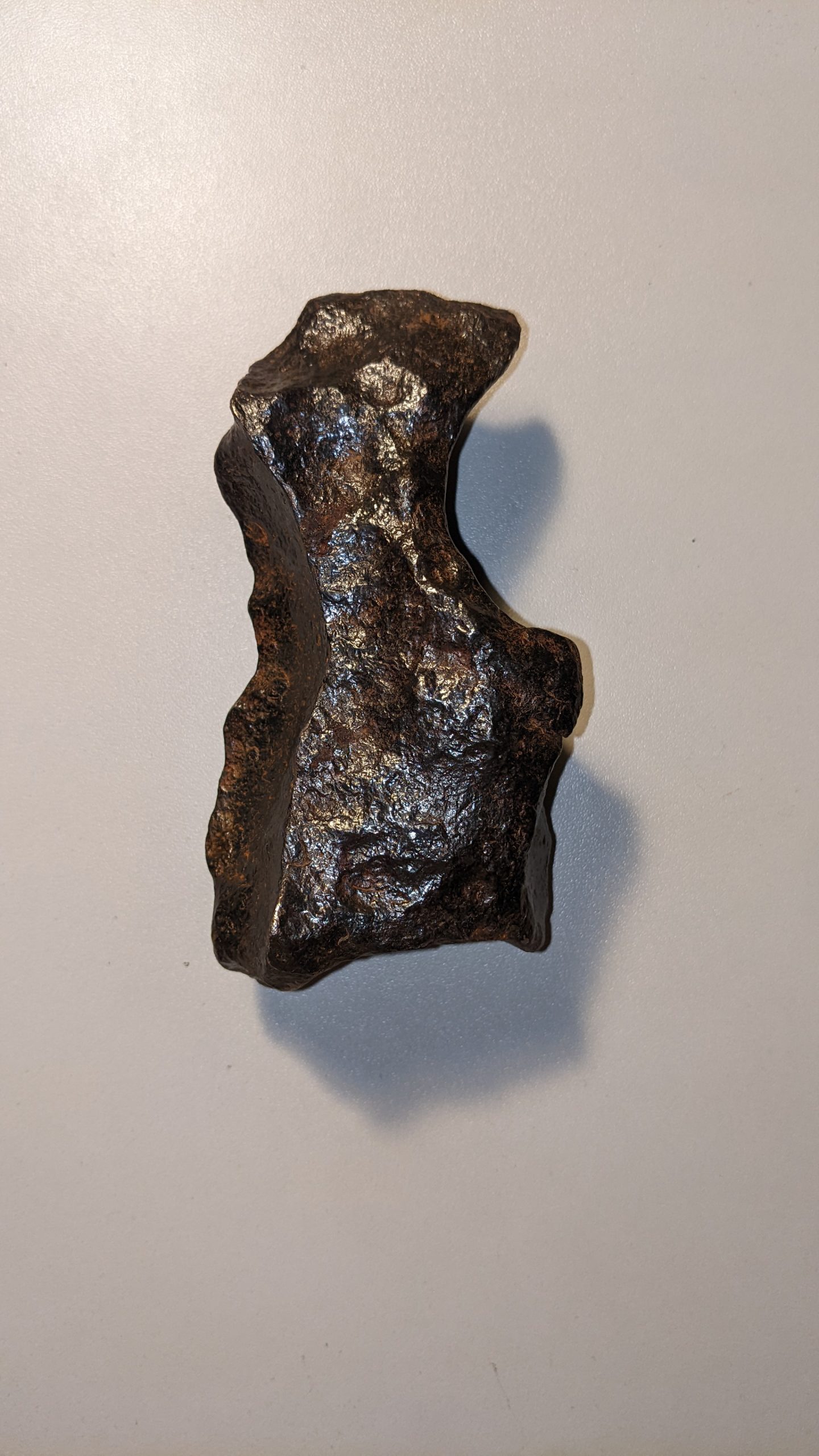 Small Gibeon Meteorite - ギベオン隕石