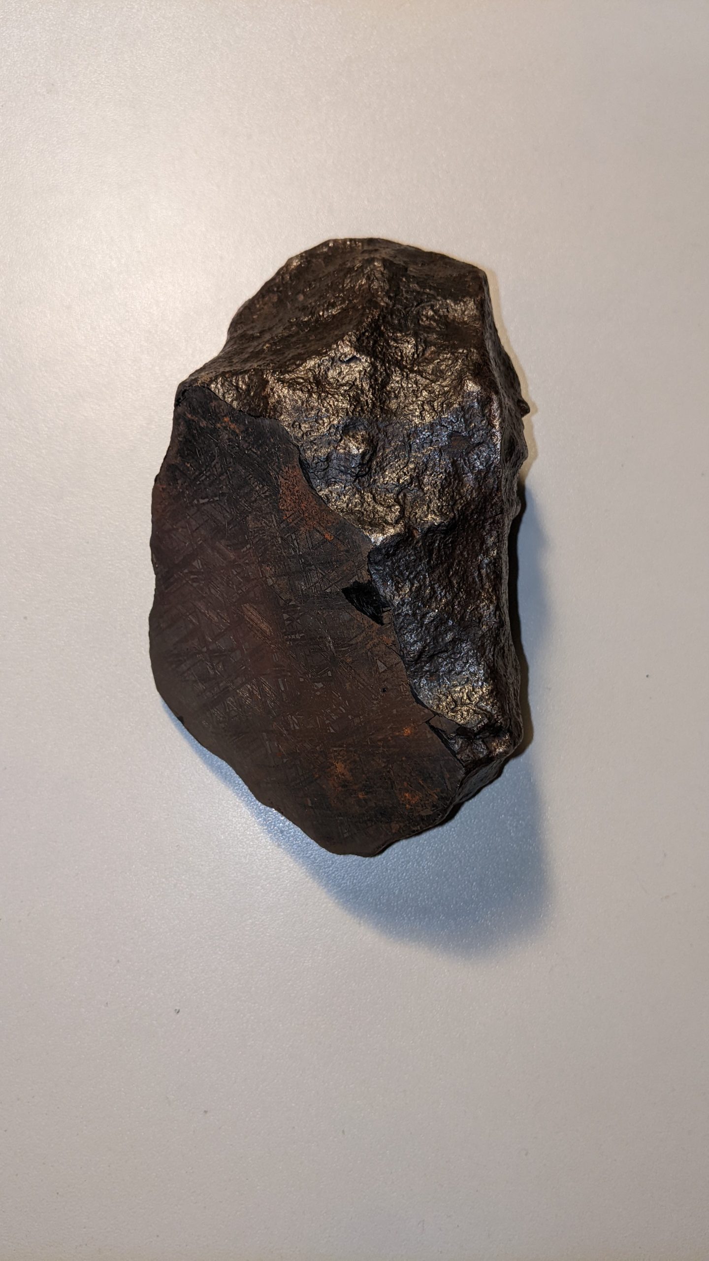 Cutted Gibeon Meteorite - ギベオン隕石